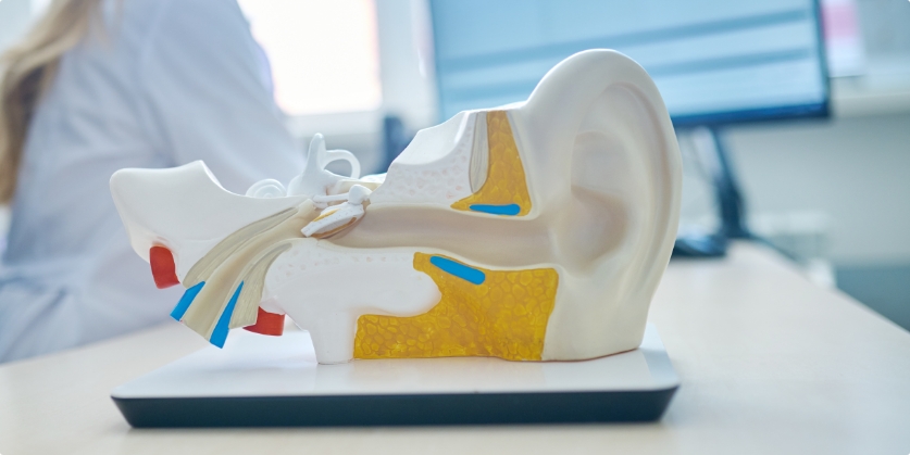 Hinderliter Hearing Services Blog